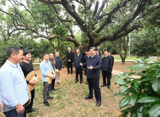 2023年新华社年度照片·领航