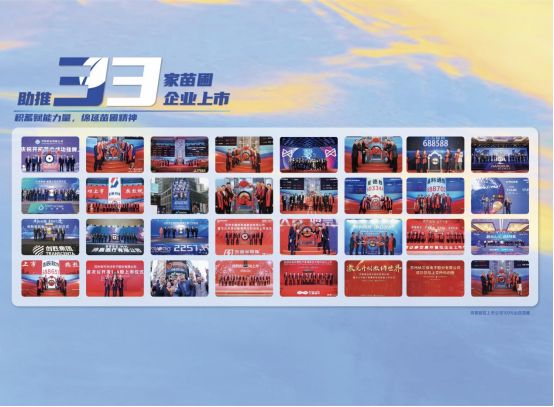 上市苗圃五周年:打造园区上市高地新范本 image.png