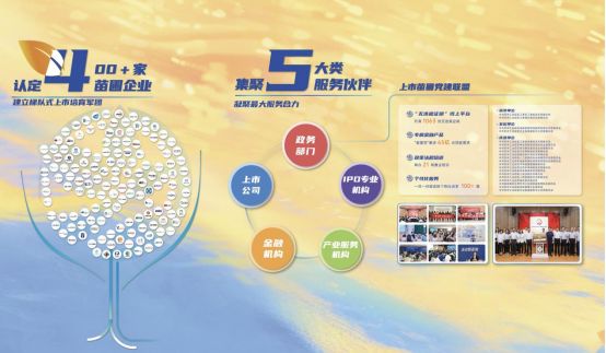 上市苗圃五周年:打造园区上市高地新范本 image.png