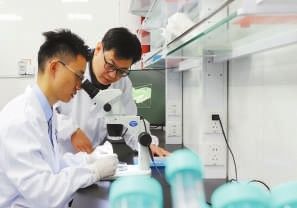 奋力谱写中国式现代化教育的浙江篇章